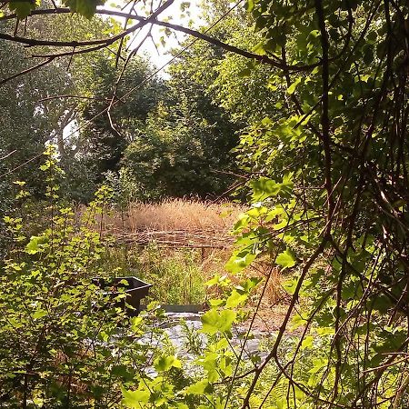 De Hoeve Mare Terre Giethoorn, Voor 1 Tot 6 Personen Εξωτερικό φωτογραφία