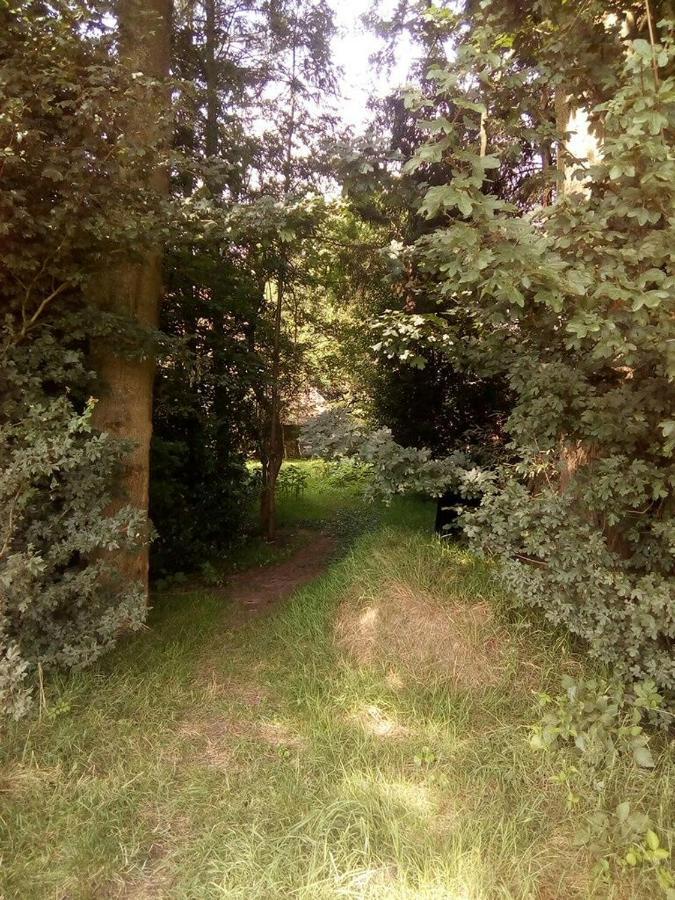 De Hoeve Mare Terre Giethoorn, Voor 1 Tot 6 Personen Εξωτερικό φωτογραφία