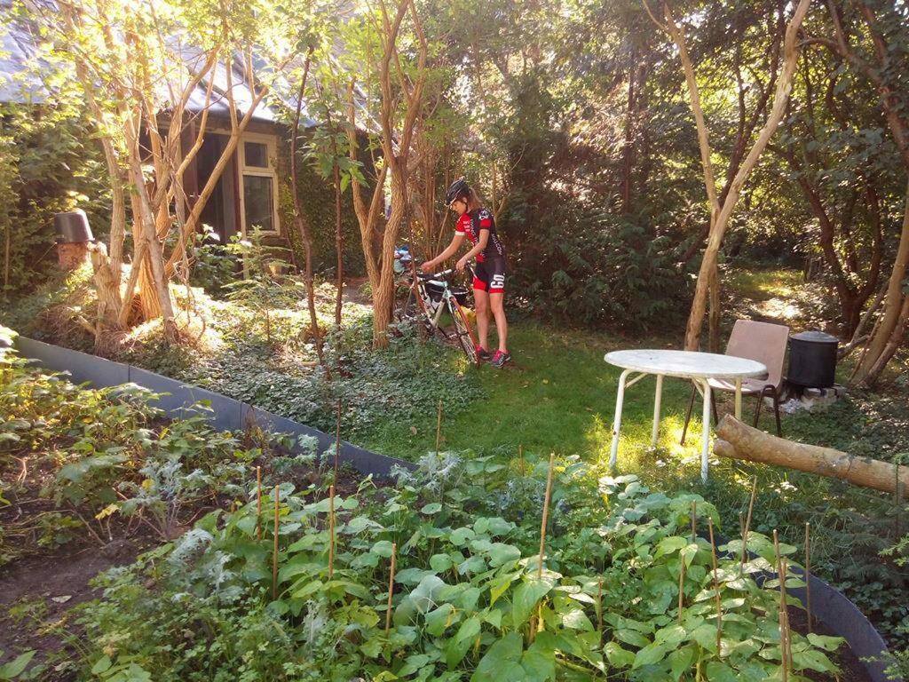 De Hoeve Mare Terre Giethoorn, Voor 1 Tot 6 Personen Εξωτερικό φωτογραφία
