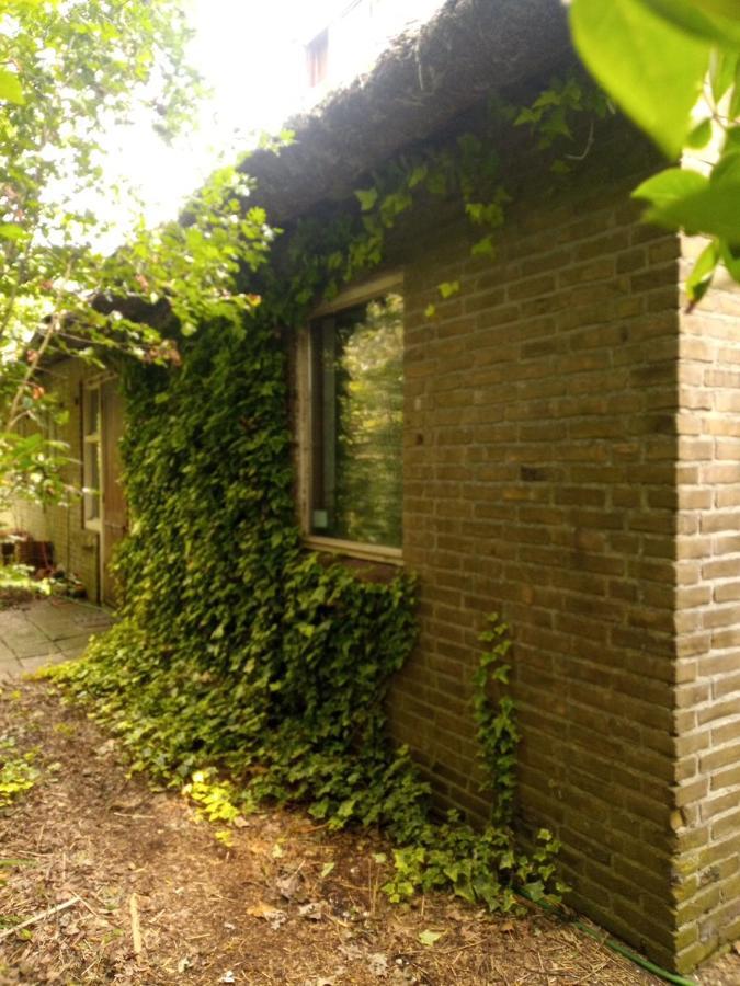 De Hoeve Mare Terre Giethoorn, Voor 1 Tot 6 Personen Εξωτερικό φωτογραφία